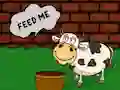 თამაში Find The Cow Feed ონლაინ