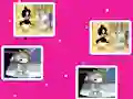 თამაში Baby Looney Tunes Match Up ონლაინ