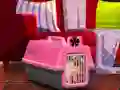 თამაში Escape The Small Pug ონლაინ