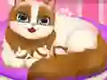 თამაში Cute Kitty Pregnant ონლაინ