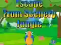 თამაში Escape from Scenery Jungle ონლაინ