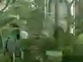 თამაში Mystery Garden Escape ონლაინ