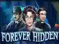 თამაში Forever Hidden ონლაინ