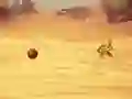 თამაში Monkey Shooting ონლაინ
