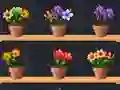 თამაში Good Flower Master ონლაინ