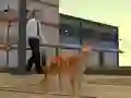 თამაში Cat City Simulator ონლაინ