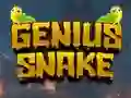 თამაში Genius Snake ონლაინ