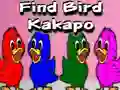 თამაში Find Bird Kakapo ონლაინ