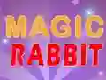 თამაში Magic Rabbit ონლაინ