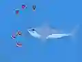 თამაში Oceans Shees ონლაინ