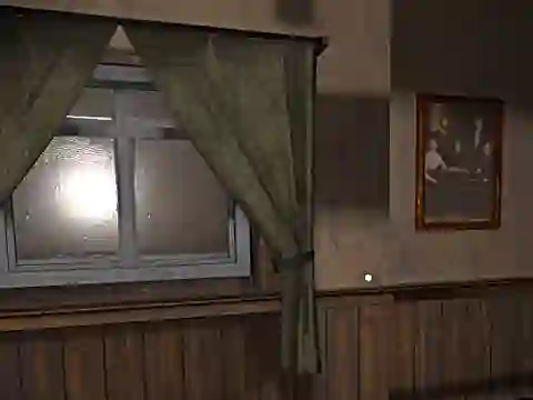 თამაში Hide and Seek Pro ონლაინ