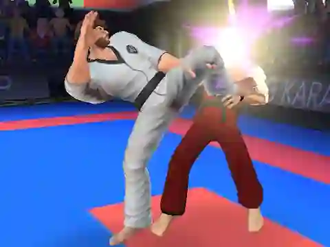 თამაში Karate Fighter ონლაინ