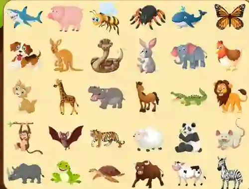 თამაში Discover Animals ონლაინ