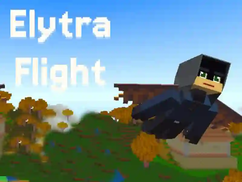 თამაში Elytra Flight ონლაინ