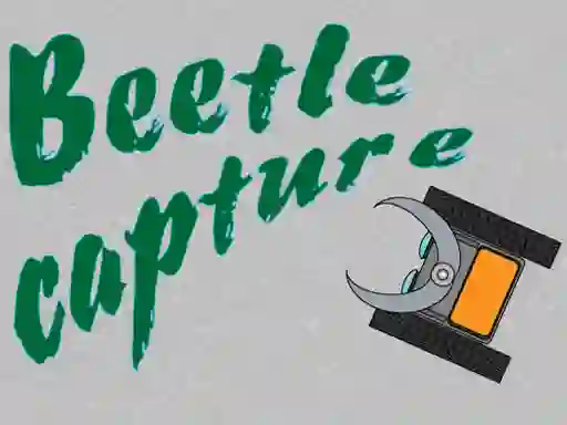 თამაში Beetle Capture ონლაინ