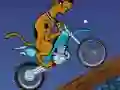 თამაში Scooby Doo Trail ონლაინ