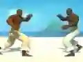 თამაში Capoeira fighter ონლაინ