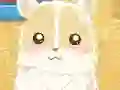 თამაში Hamster Love ონლაინ