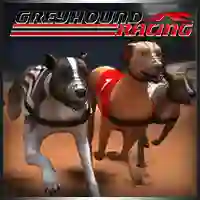 თამაში Greyhound Racing ონლაინ
