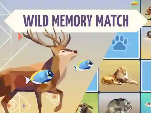 თამაში Wild Memory Match ონლაინ