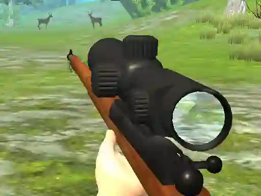 თამაში Hunter 3D ონლაინ