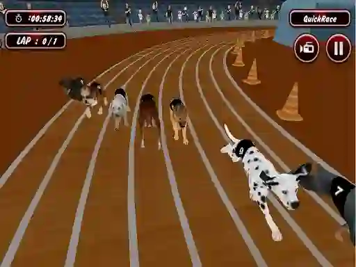 თამაში Crazyl Dog Racing Fever ონლაინ