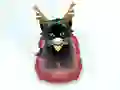 თამაში Pet Sledding ონლაინ
