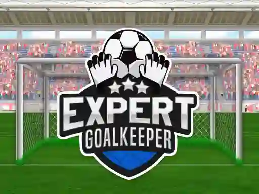 თამაში Expert Goalkeeper ონლაინ