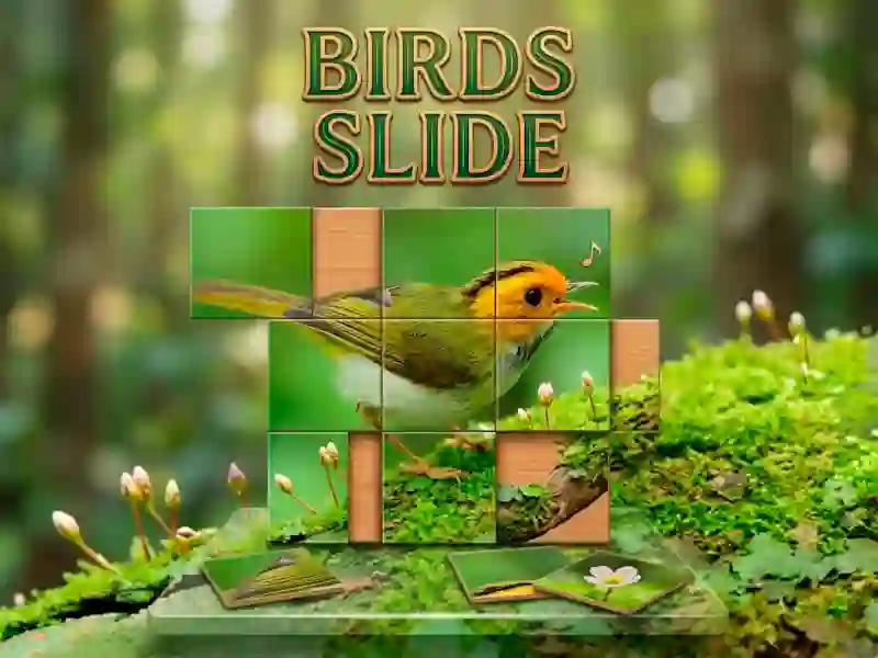 თამაში Birds Slide ონლაინ