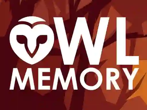 თამაში Owl Memory ონლაინ