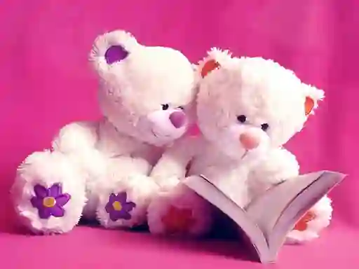 თამაში Cute Teddy Bears Slide ონლაინ