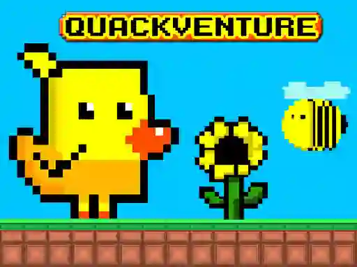 თამაში Quackventure ონლაინ
