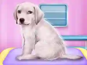 თამაში Labrador at the doctor salon ონლაინ
