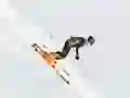 თამაში Ski Sim ონლაინ