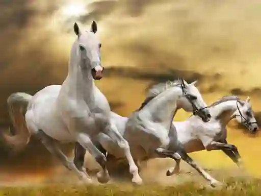 თამაში Running Horse Slide ონლაინ