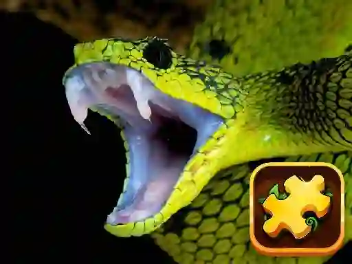 თამაში Snake Puzzle Challenge ონლაინ