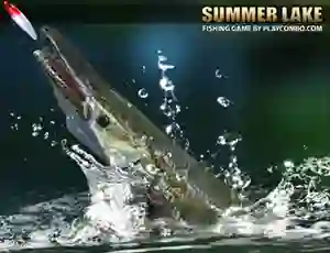 თამაში Summer Lake ონლაინ
