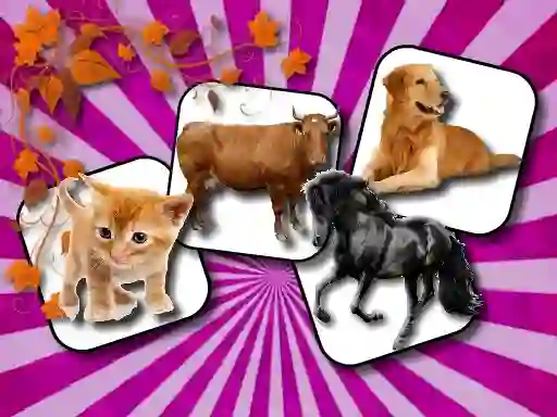 თამაში Domestic Animal Memory Challenge ონლაინ
