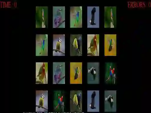 თამაში Memorize the birds ონლაინ