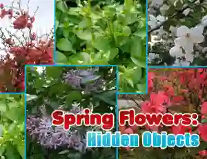 თამაში Spring Flowers: Hidden Objects ონლაინ