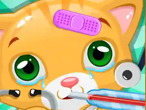თამაში Little Cat Doctor ონლაინ