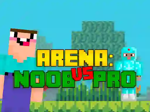 თამაში Arena: Noob vs Pro ონლაინ