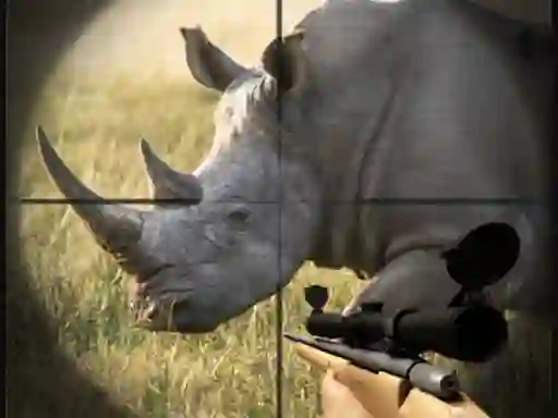 თამაში Wild Rhino Hunter ონლაინ