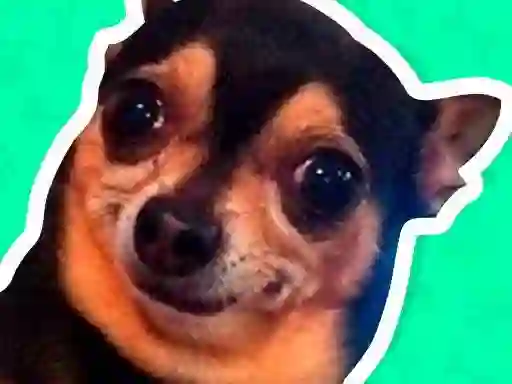 თამაში What meme dog are you ? ონლაინ
