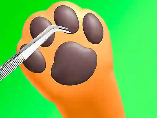 თამაში Paw Care ონლაინ