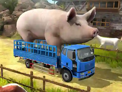 თამაში Driver Master Simulator ონლაინ