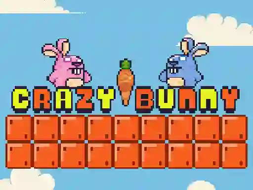 თამაში Crazy Bunny ონლაინ