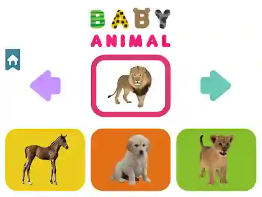 თამაში Baby Animal ონლაინ