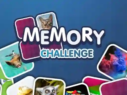 თამაში Memory Challenge ონლაინ
