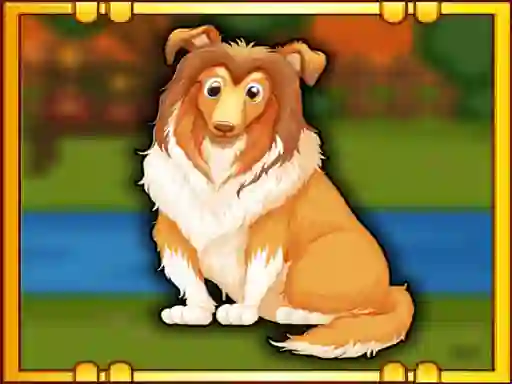 თამაში Bernese Mountain Dog Escape ონლაინ